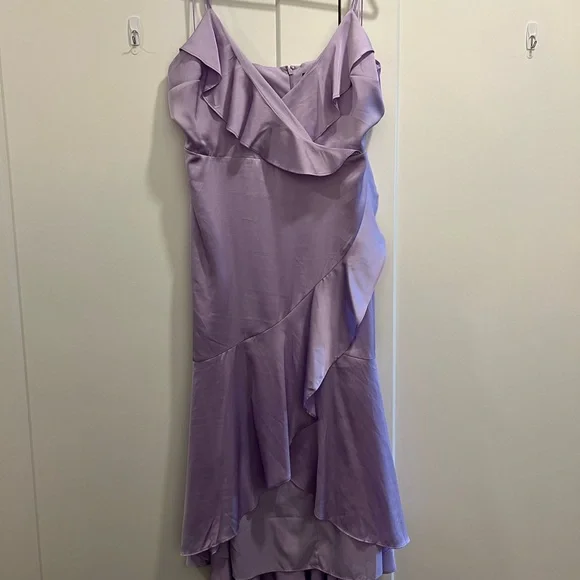 Light purple, silky Express dress - Picture 1 of 3